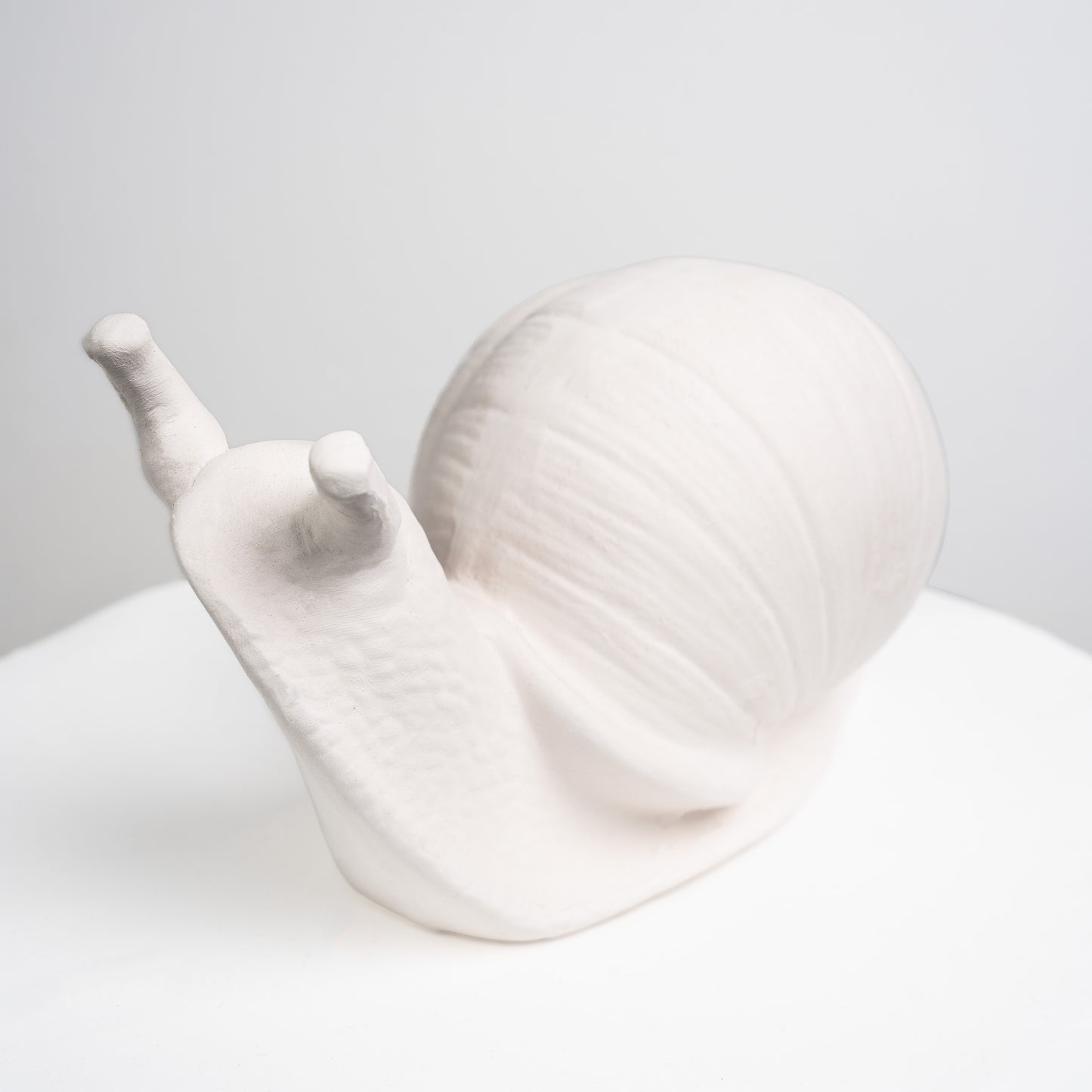 Garden Snail (Large)