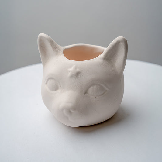 Star Cat Planter