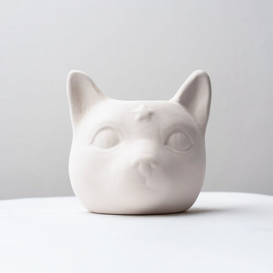 Star Cat Planter