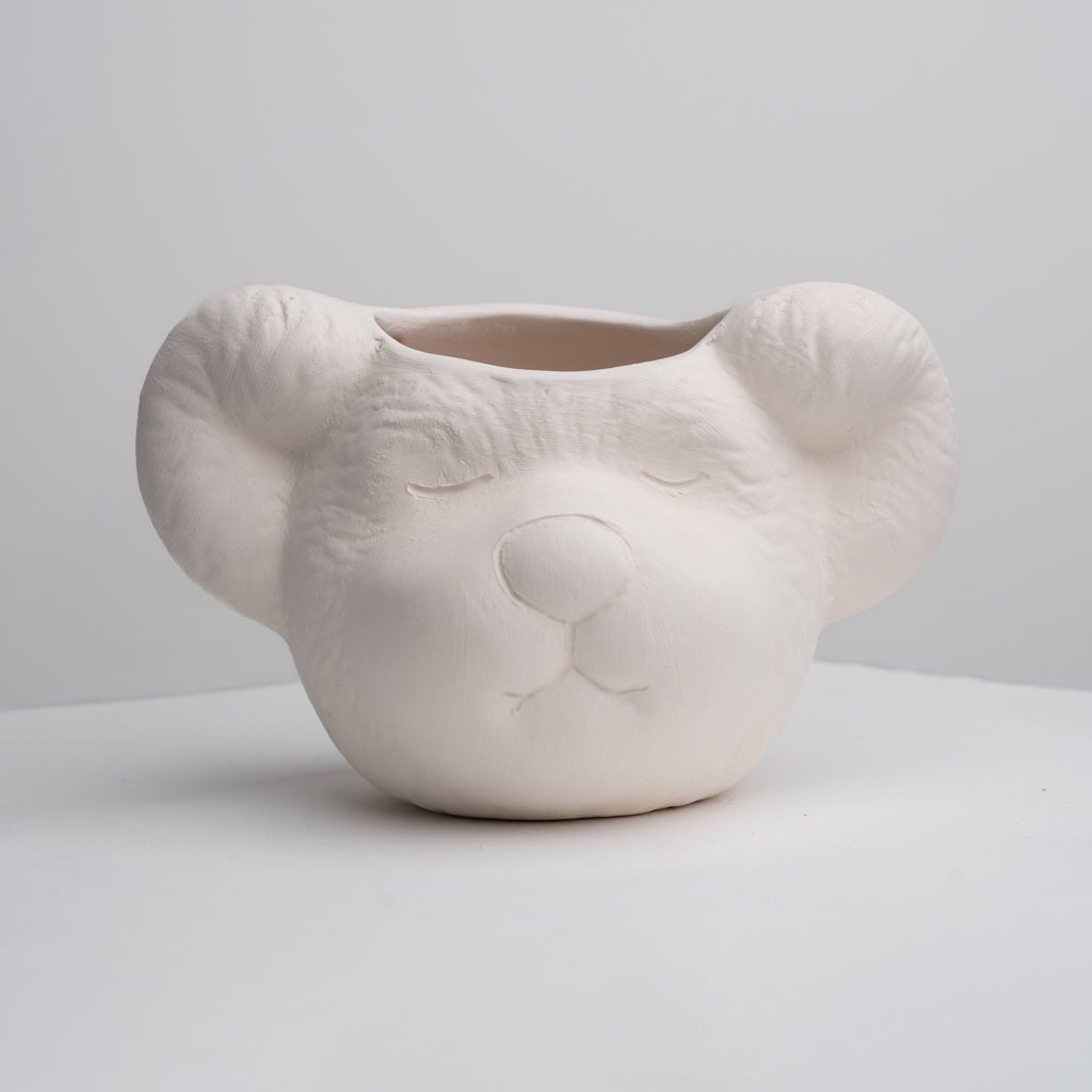Bear Face Planter
