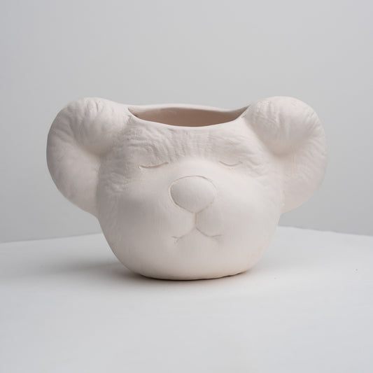 Bear Face Planter