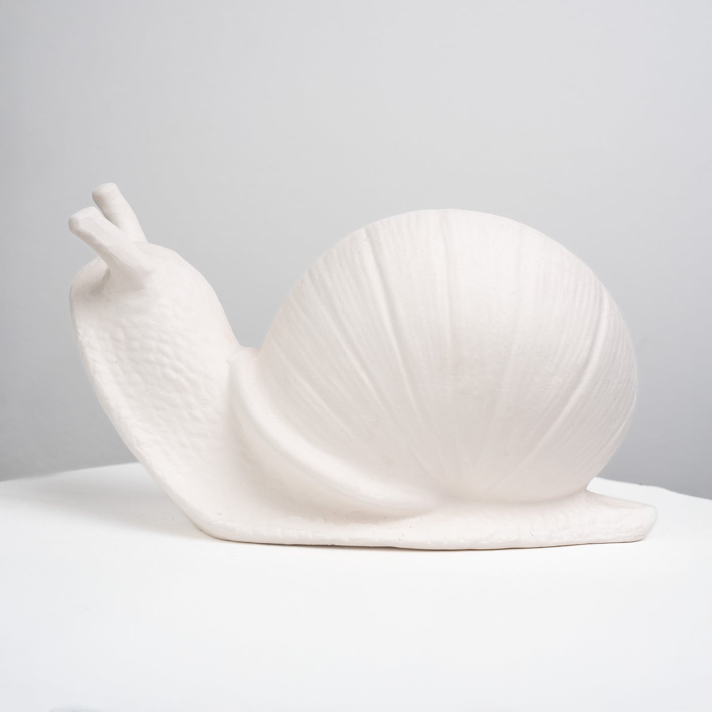 Garden Snail (Large)