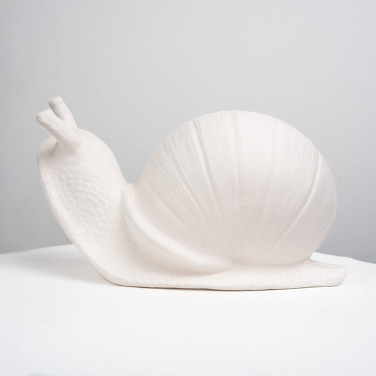Garden Snail (Large)