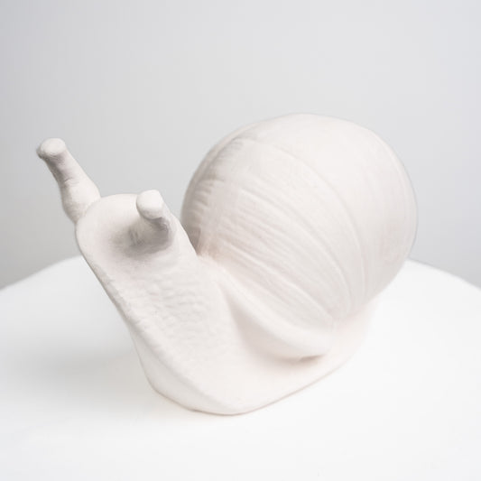 Garden Snail (Large)