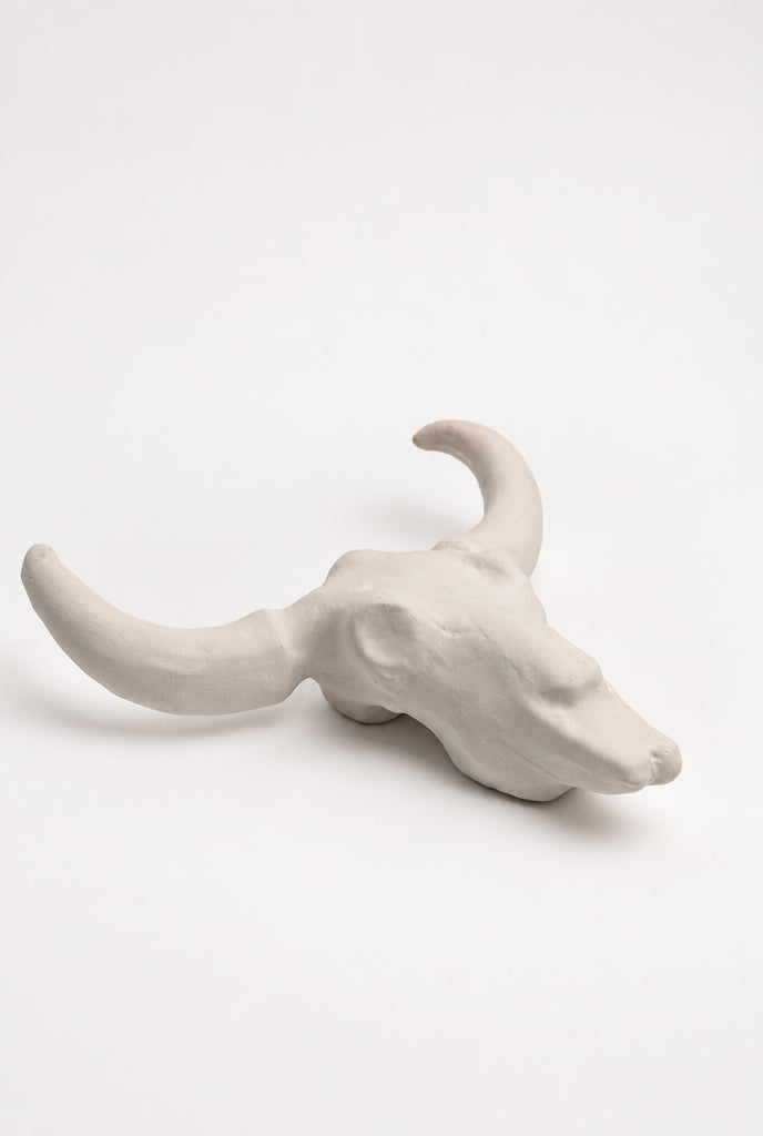 Skull Wall Piece